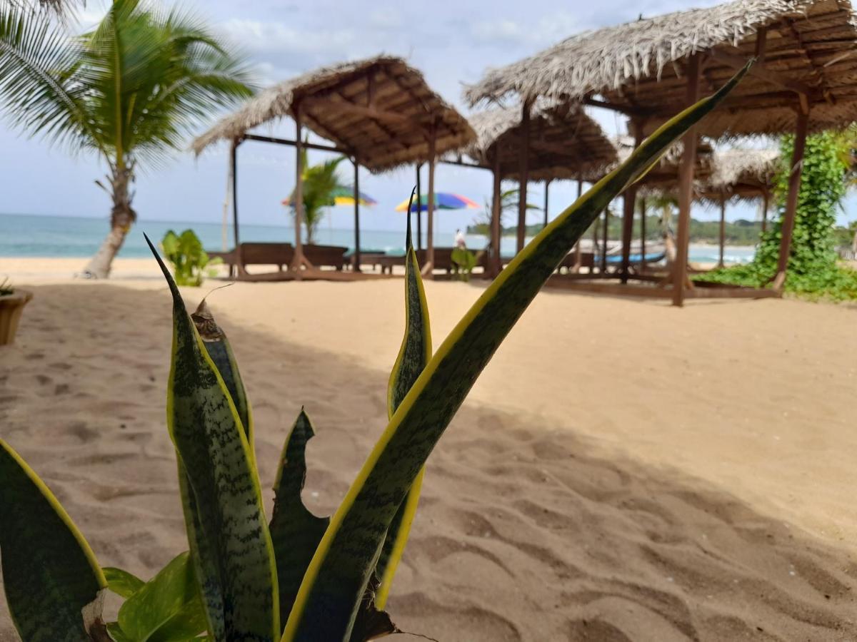 Golden Beach Chalets Arugam Bay Buitenkant foto