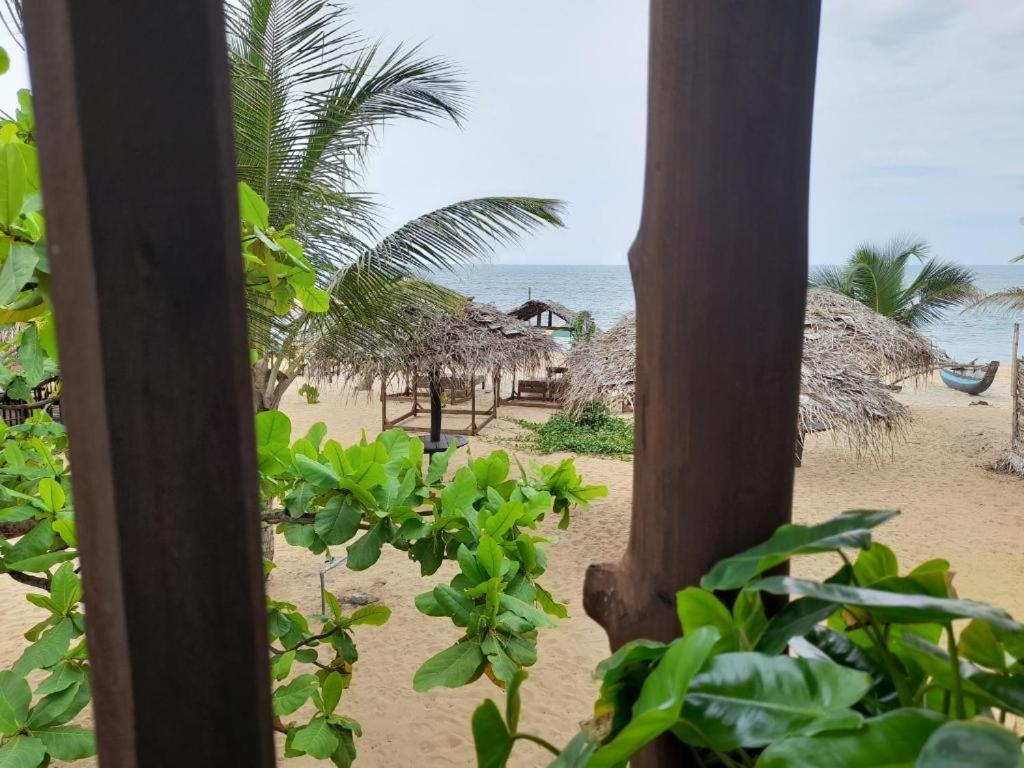 Golden Beach Chalets Arugam Bay Buitenkant foto
